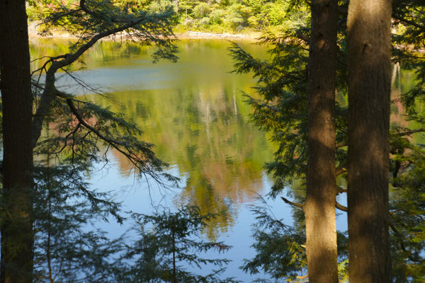 Peck See, Algonquin Park