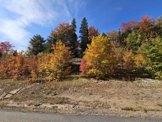 Algonquin Nationalpark, Indian Summer