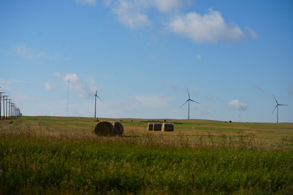 Heuballen warten aufs Einsammeln