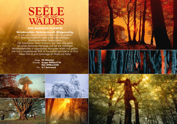 Die Seele des Waldes