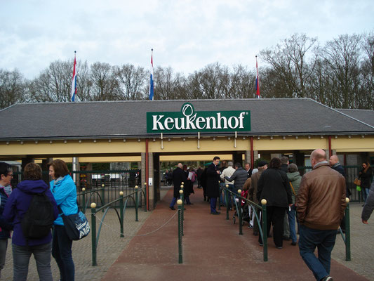 Keukenhof