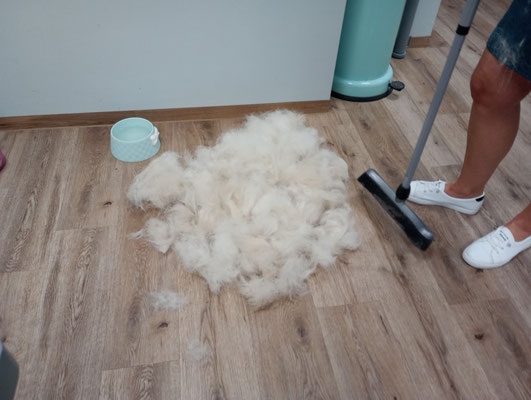 Ergebnis nach ca. 2 Std