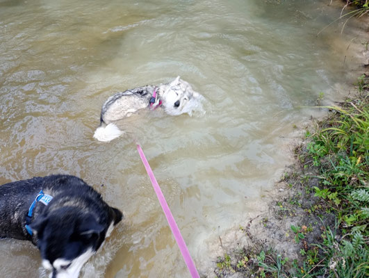 Schwimmen