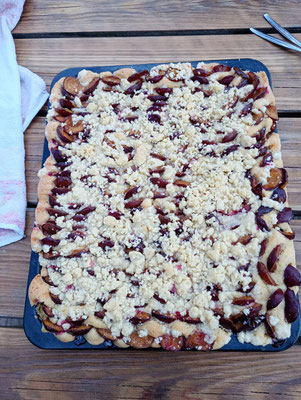 Zwetschgenkuchen