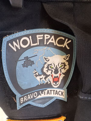 Logo der US Army