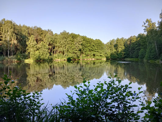 Lieblingsweiher