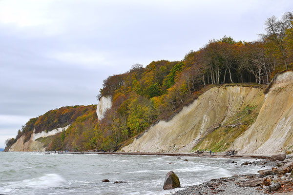 Kreidefelsen auf Rügen