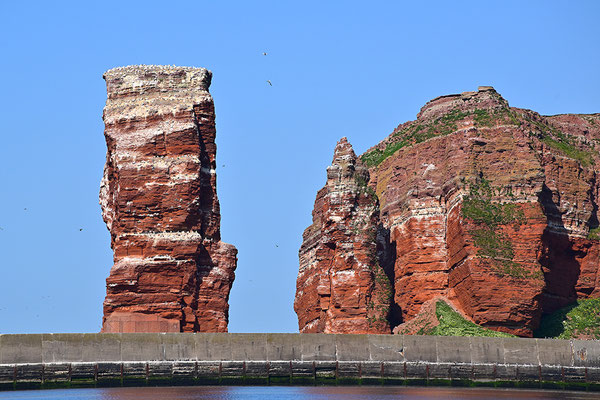 Helgoland Buntsandsteinfels