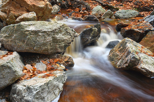 Wildbach Ternell