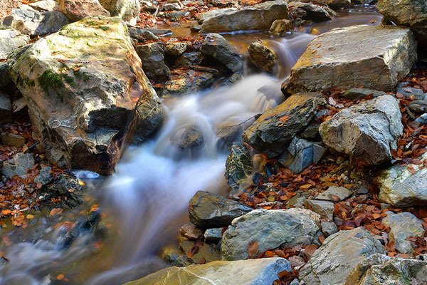 Wildbach Ternell