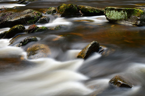 Rur in der Eifel
