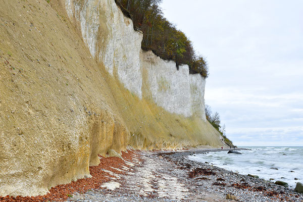 Kreidefelsen auf Rügen