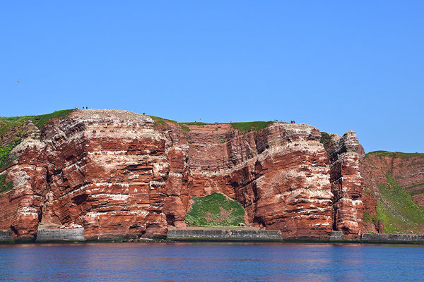 Helgoland Buntsandsteinfels