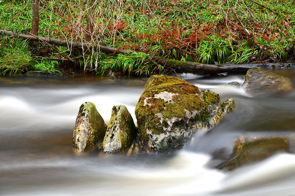 Rur in der Eifel