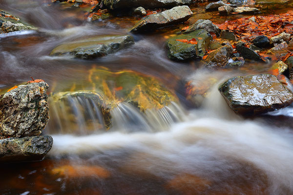 Wildbach Ternell