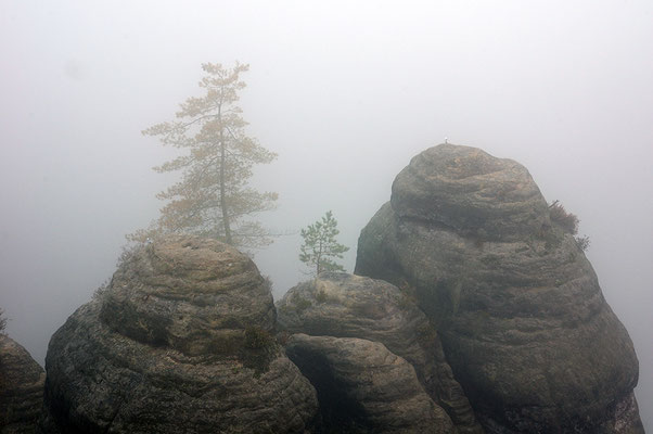 Elbsandsteingebirge