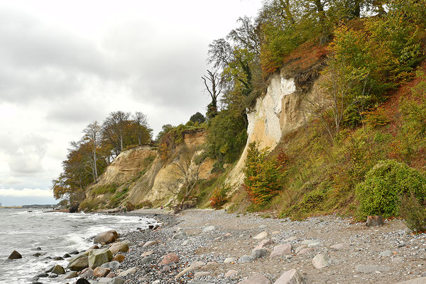 Kreidefelsen auf Rügen