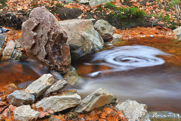 Wildbach Ternell