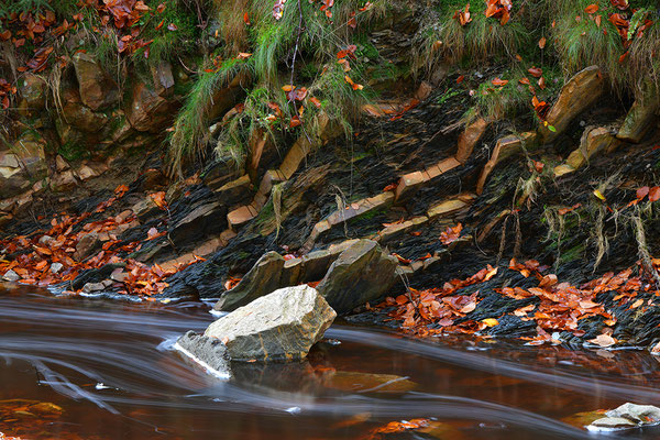 Wildbach Ternell