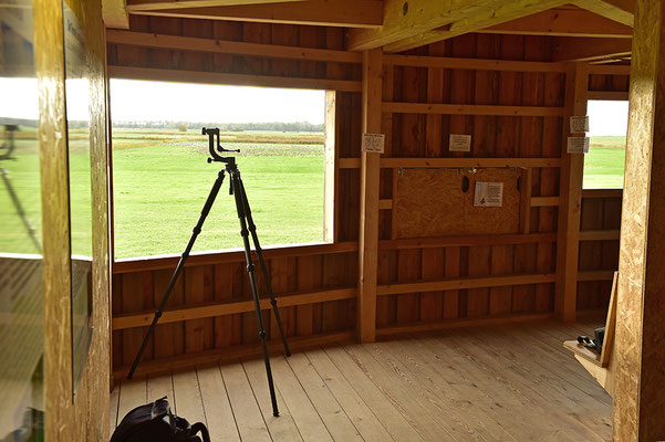 Kranorama in Günz Blick aus einem Fenster