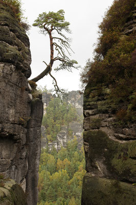 Elbsandsteingebirge