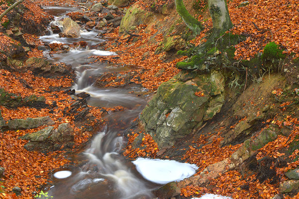 Wildbach Ternell