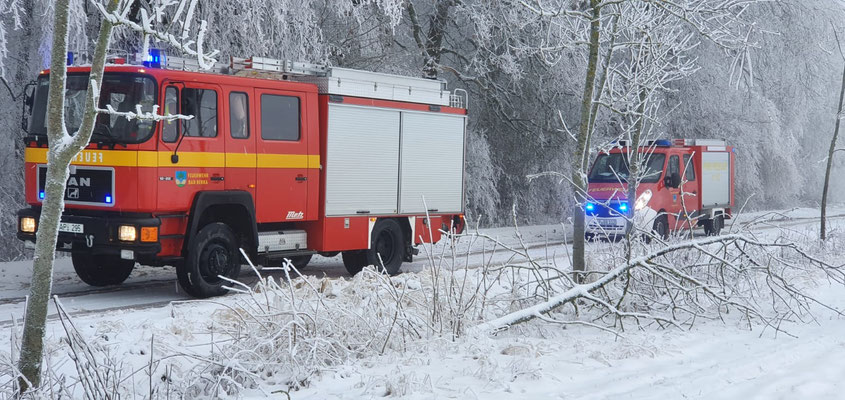 Im Einsatz waren das LF 16/12 der Feuerwehr Bad Berka und das TSF der Feuerwehr Gutendorf.