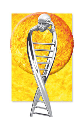 Karriereleiter, 80x100cm, Digitalbild