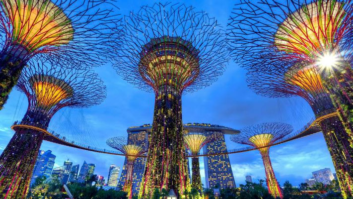 Supertree Grove in den Gardens by the Bay in Singapur
