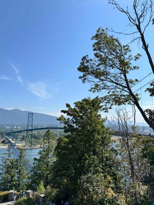 Bäume in Vancouver