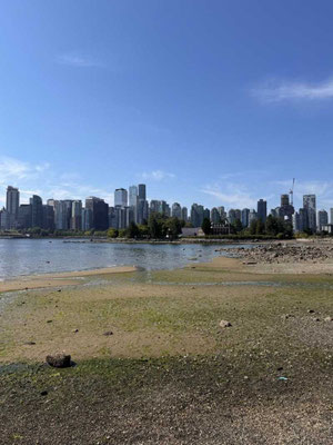 Wald und Meer in Vancouver