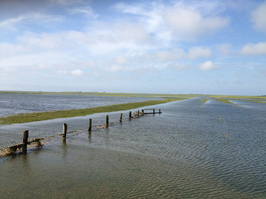 Vorland unter Wasser
