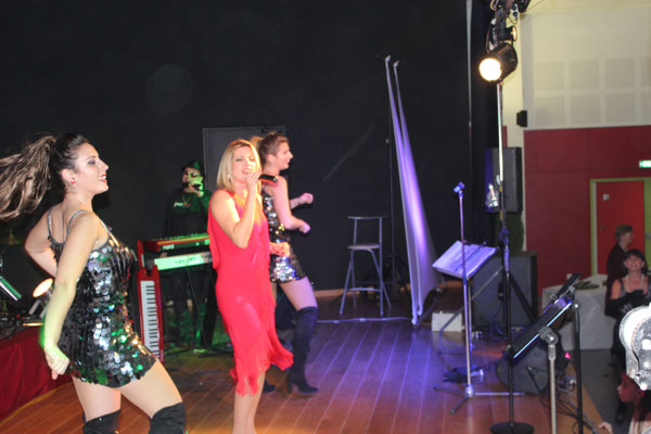 musiciens professionnels rhône