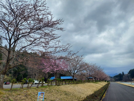 向ノ島公園
