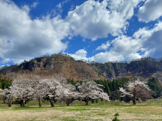 麒麟山公園