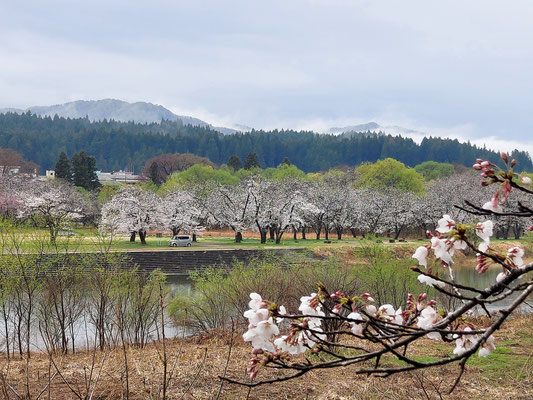 麒麟山公園