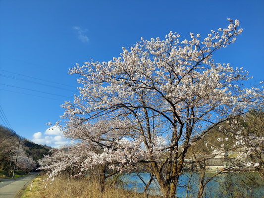 揚川ダム