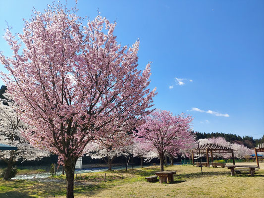 向ノ島公園