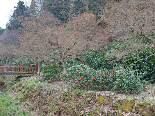 麒麟山いこいの森公園