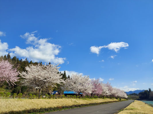 向ノ島公園