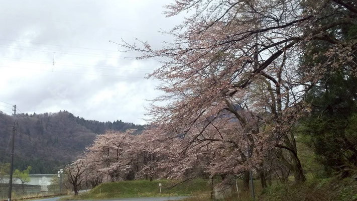 揚川ダム
