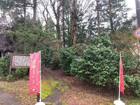 きりん山温泉 雪つばきの宿 古澤屋(訪春園)