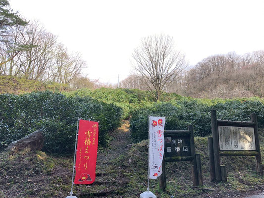 角神雪椿園