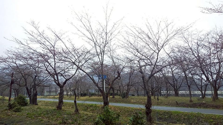 鹿瀬ダム