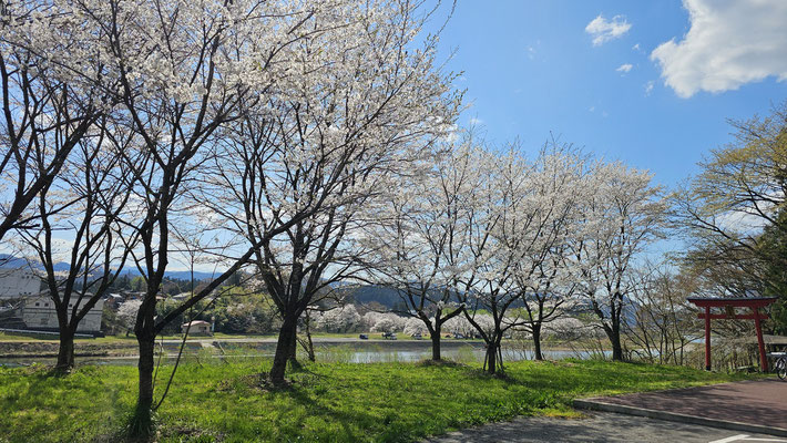 麒麟山公園1