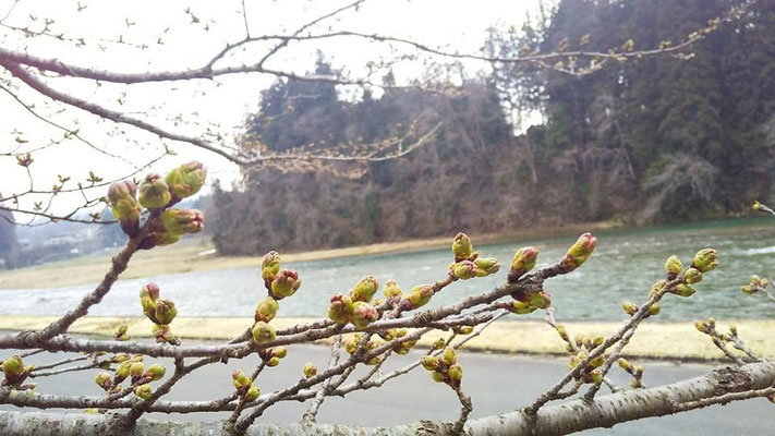 向ノ島公園