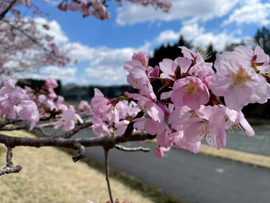 向ノ島公園