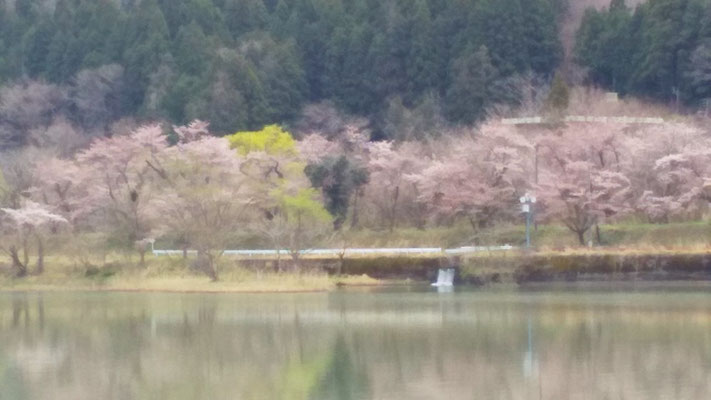 揚川ダム
