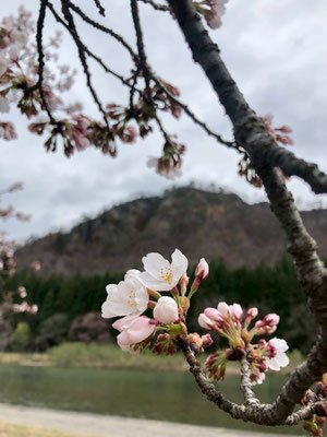 麒麟山公園