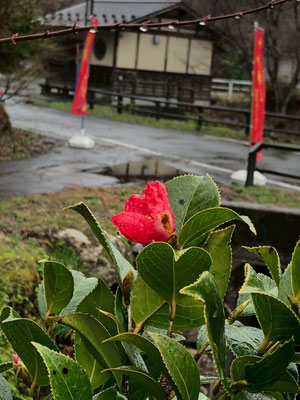 麒麟山いこいの森